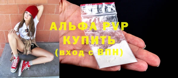 крисы Абаза