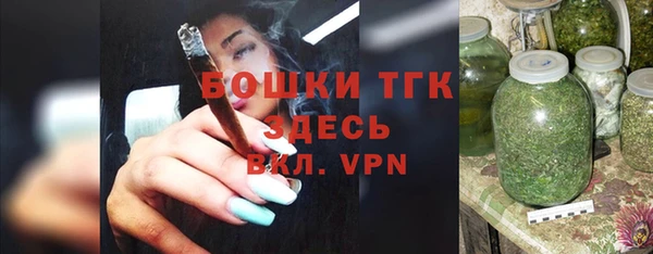 дживик Каменка
