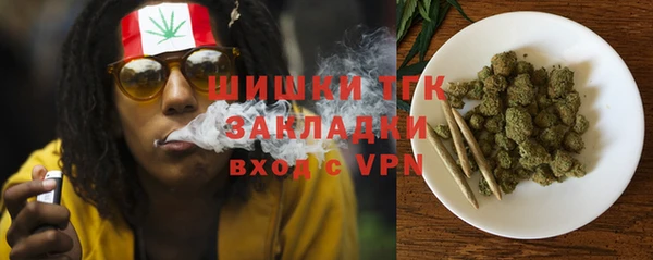 крисы Абаза