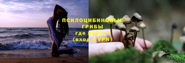 амф Абдулино