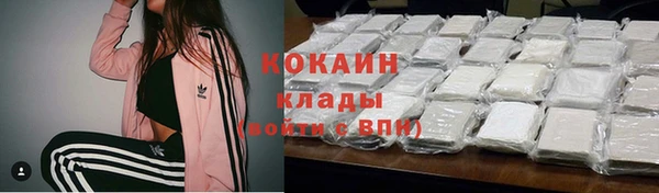 крисы Абаза