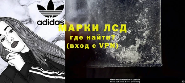 крисы Абаза